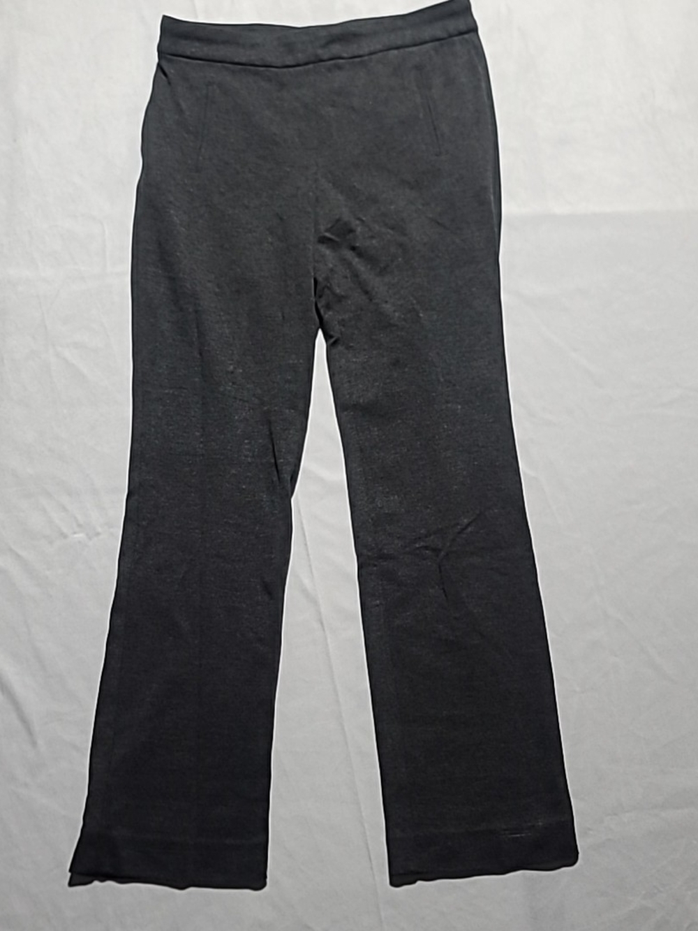 Northern Reflections Dark Gray Casual Pants Size 4 Ankle